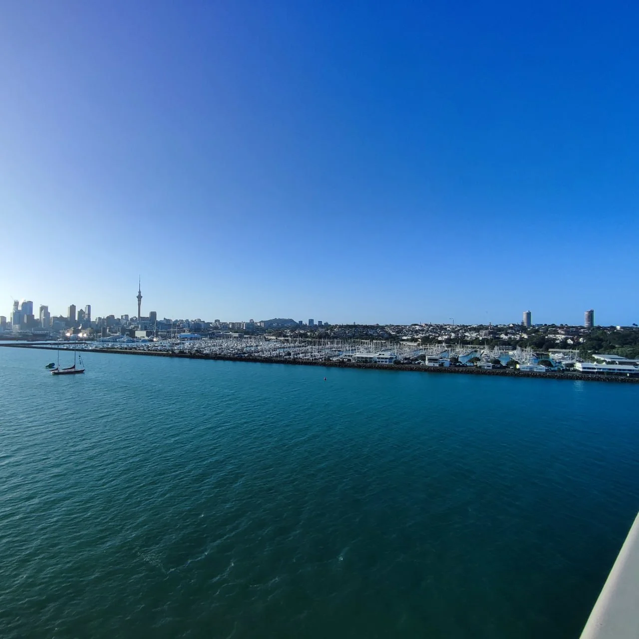 auckland-marathon-2025-gallery-view-from-the-bridge.png
